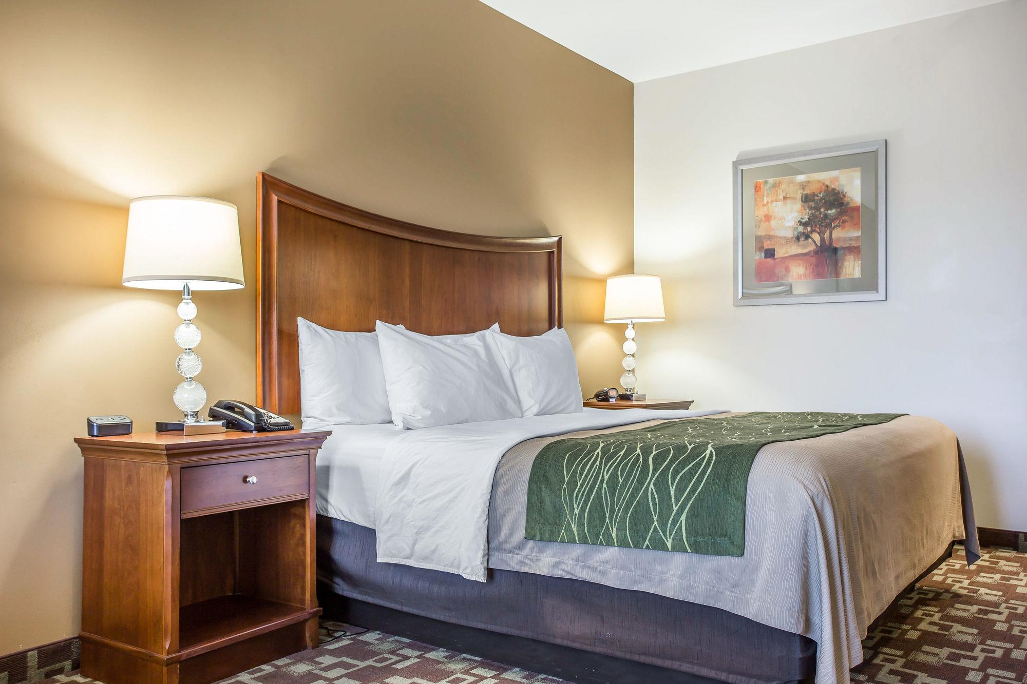 Comfort Inn & Suites Orangeburg Extérieur photo