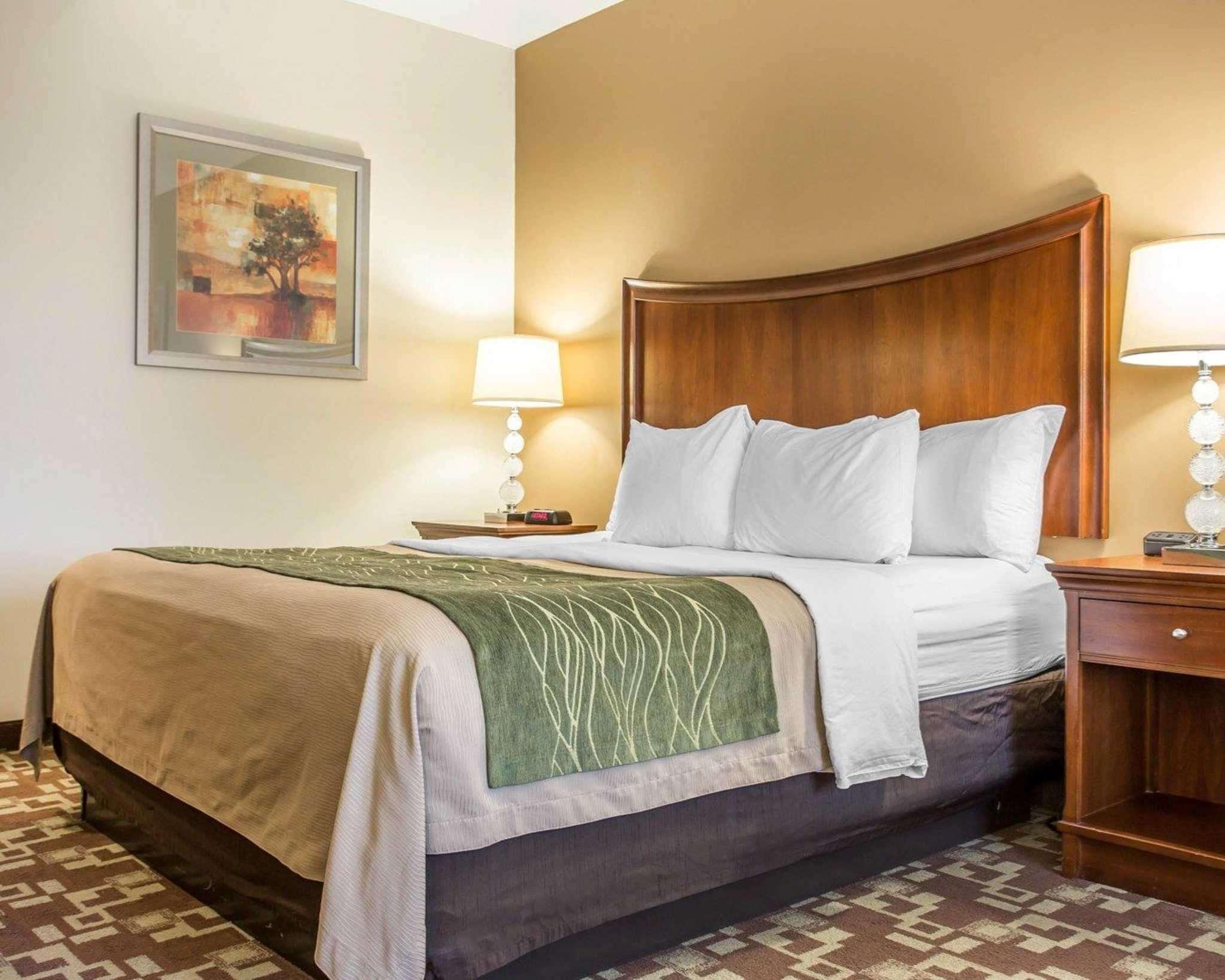 Comfort Inn & Suites Orangeburg Extérieur photo
