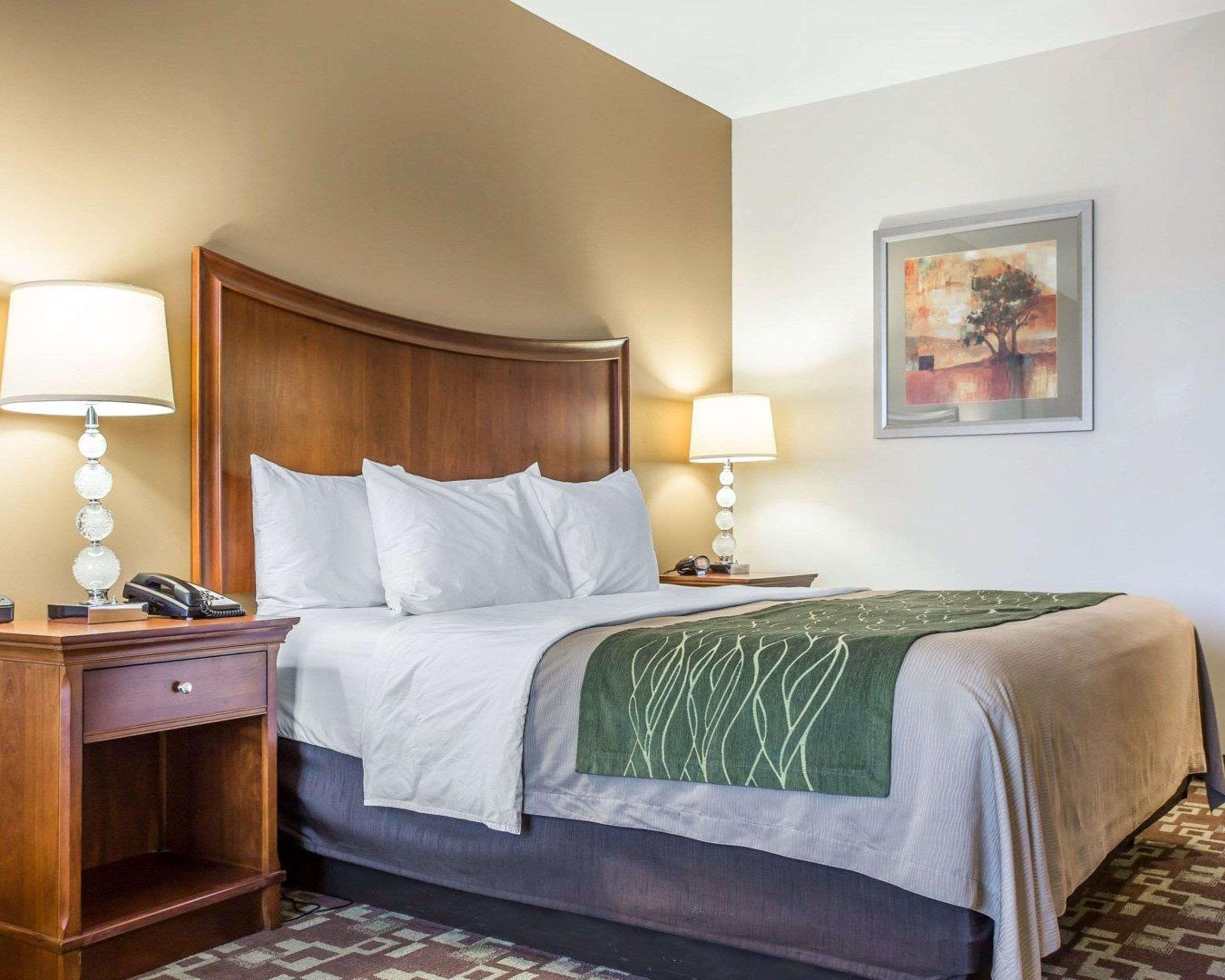 Comfort Inn & Suites Orangeburg Extérieur photo